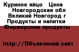 Куриное яйцо › Цена ­ 120 - Новгородская обл., Великий Новгород г. Продукты и напитки » Фермерские продукты   